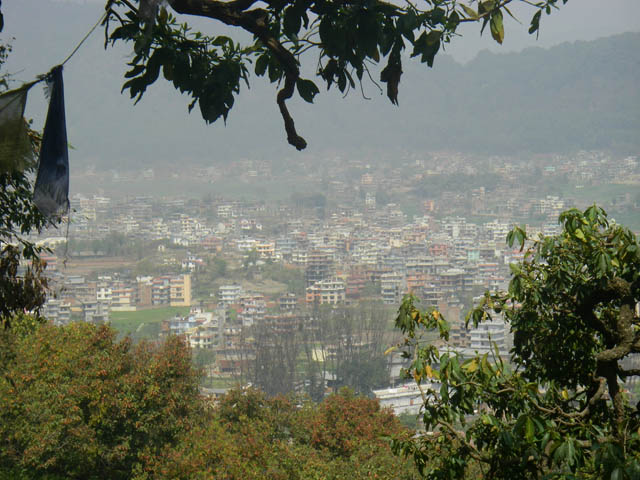 IMGP0293