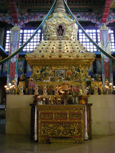 IMGP0433