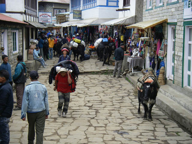 IMGP1136