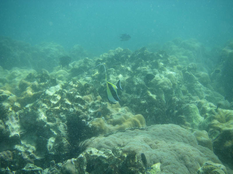 IMGP0080