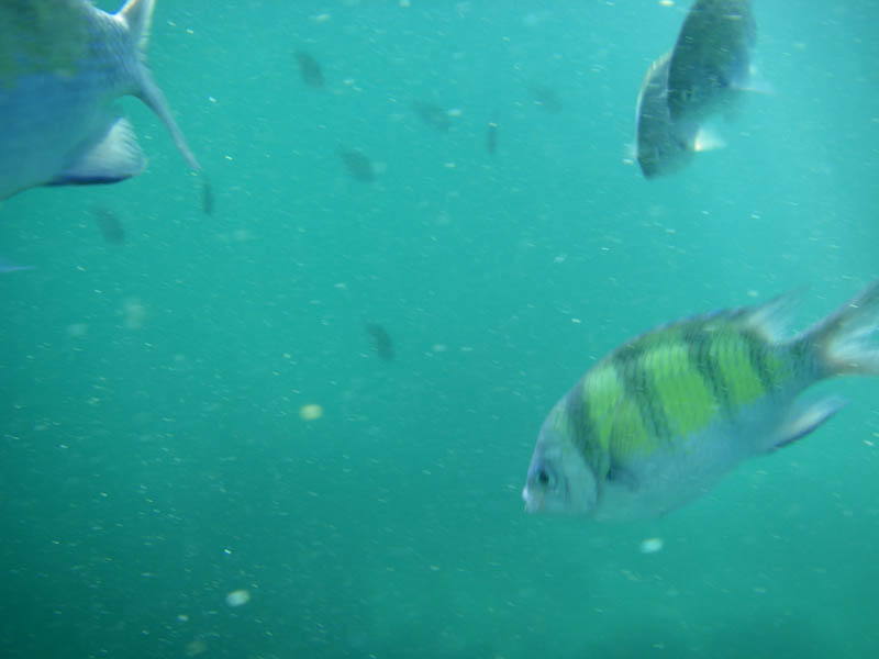 IMGP0120