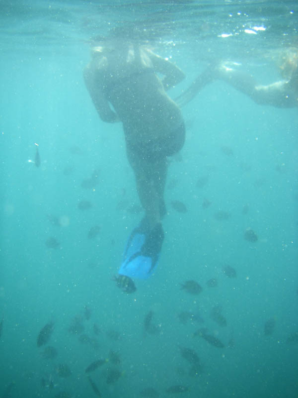 IMGP0129