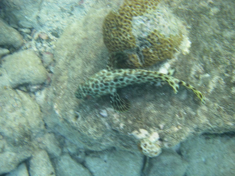 IMGP0478